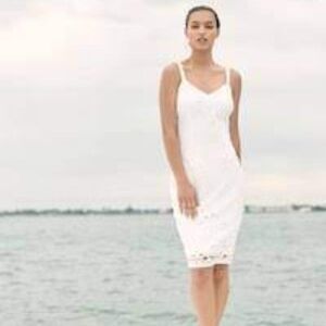 White House Black Market Eyelet Sheath Dress 2 NWT